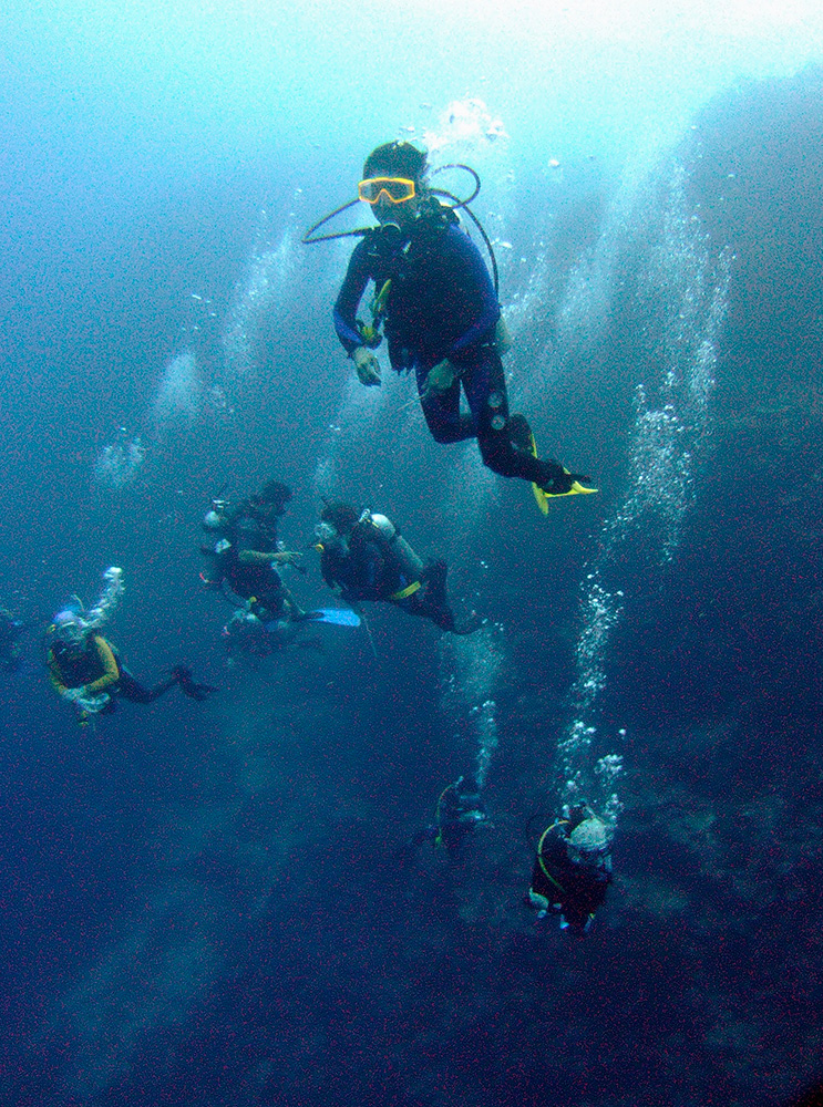 DIVING HOLIDAYS - Planet Scuba India